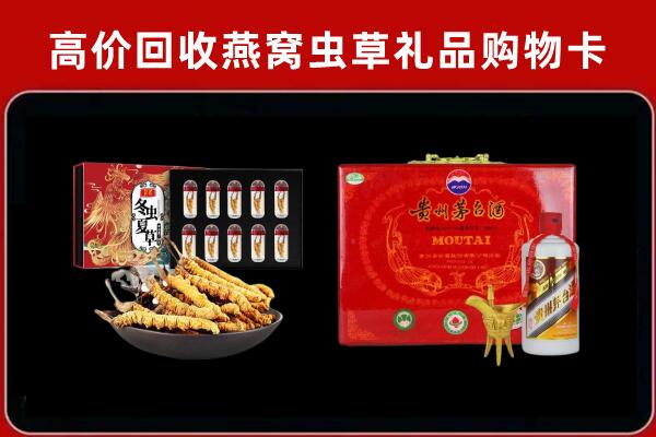 玉溪市澄江回收冬虫夏草